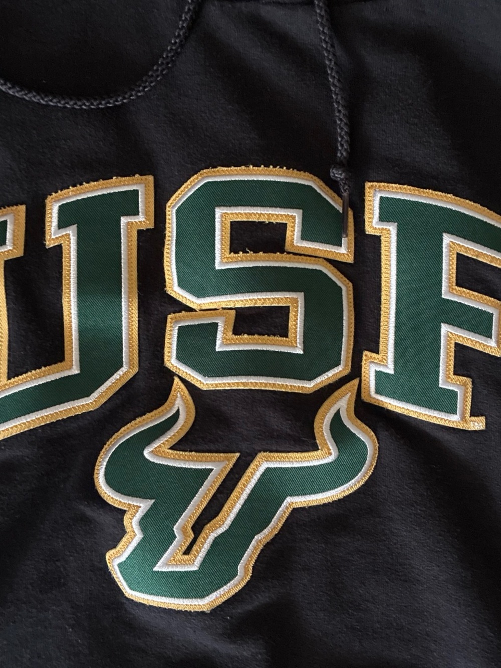 Champion USF Black Pullover Hoodie with Green and Gold Logo. Men’s size small. - Picture 2 of 3